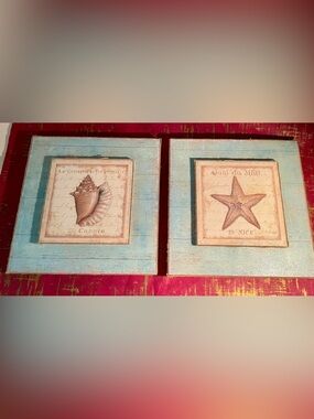 Set of Two Coastal Shell Wall Frames in Light Blue 12x12in